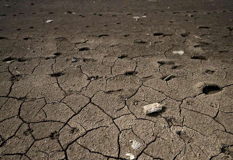 Mexico's drought spreads and could wipe out agricultural production within weeks