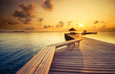 Newsletter sur le bois tropical