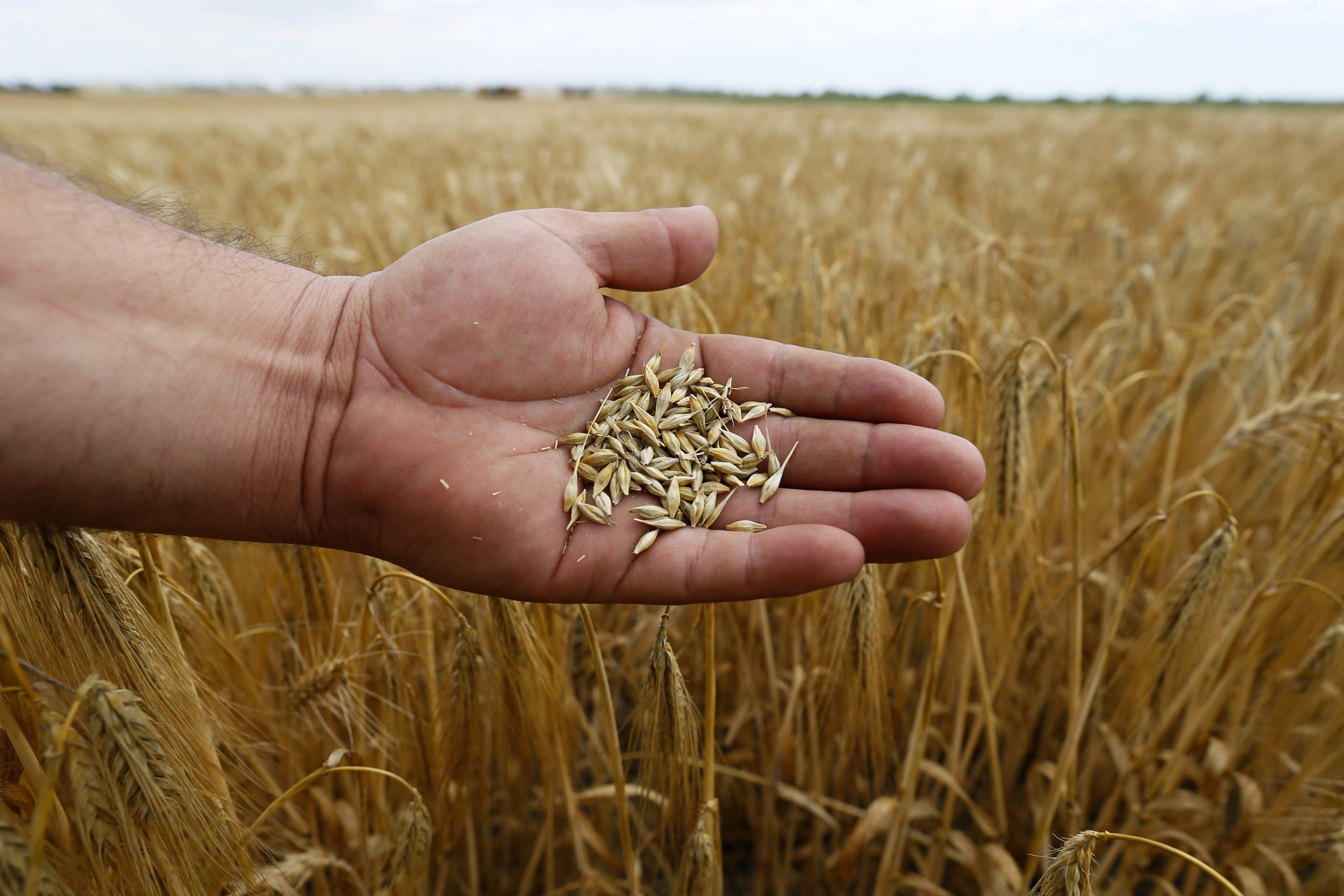 Hunger als Waffe - AufRuhr Magazin