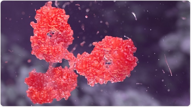 Monoclonal Antibodies versus Polyclonal Antibodies