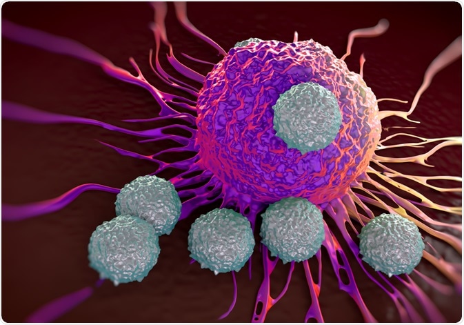 Insight into Tumor Immunology