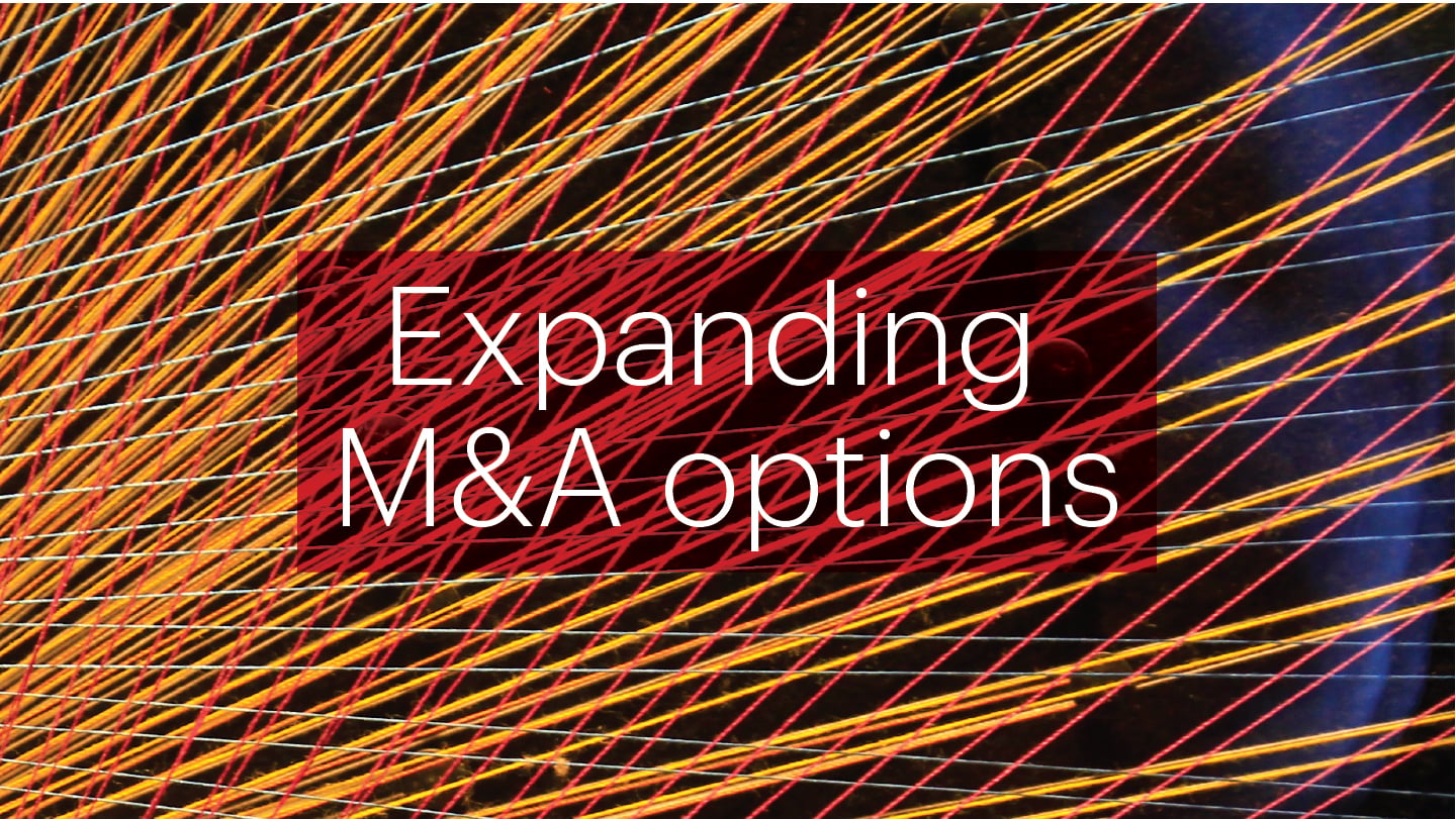 Expanding M&A Options for New Capabilities | Bain & Company