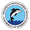SEA WITCH FESTIVAL® - Rehoboth Beach | Delaware