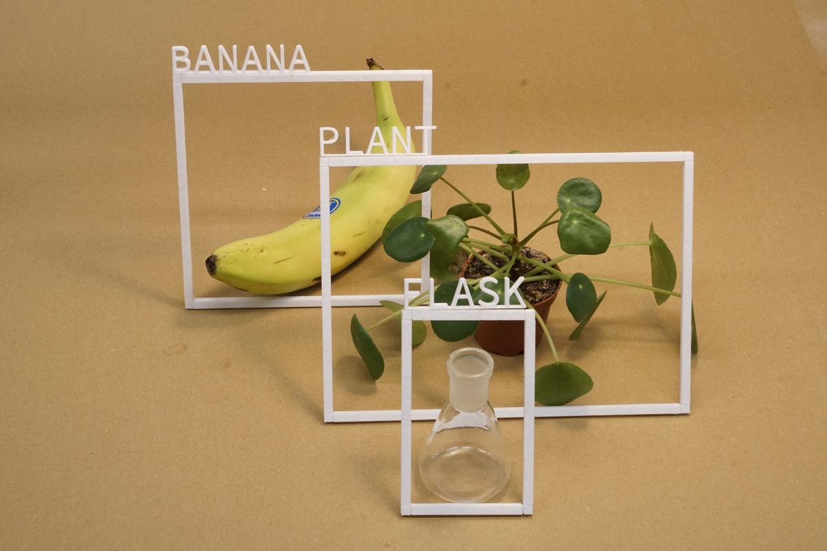 Easy AI: Classifying Images with AI Models
