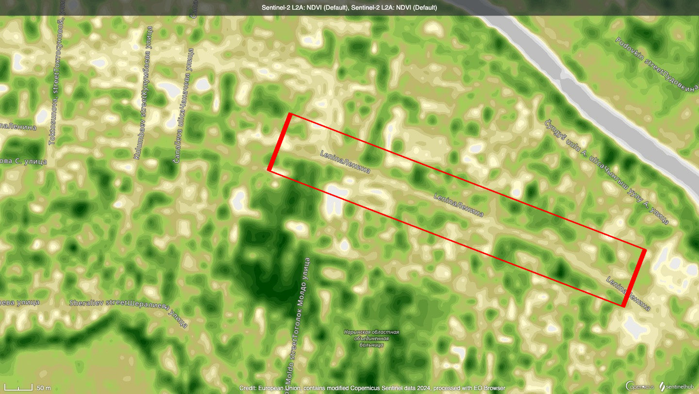 Visualising Nature's Stories at Bellingcat's Hackathon in Kyrgyzstan