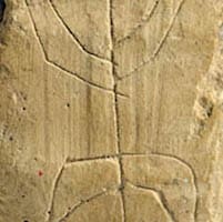 Understanding the Jewish Menorah - Biblical Archaeology Society