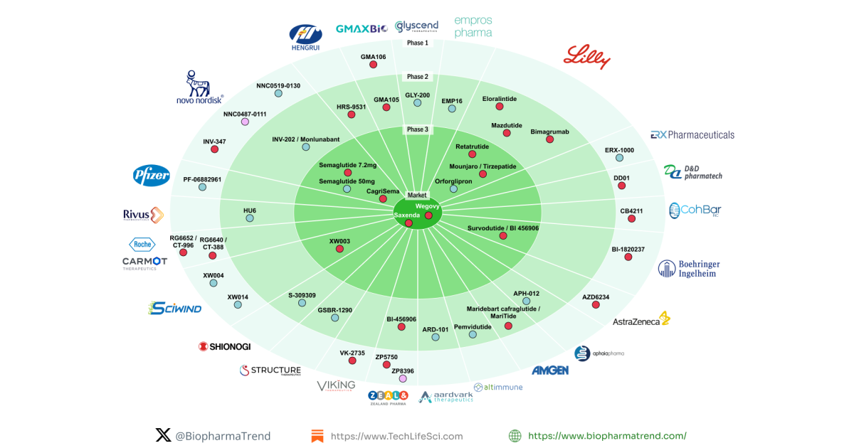 A Booming Anti-Obesity Drug Discovery Landscape at a Glance (With Challenges)