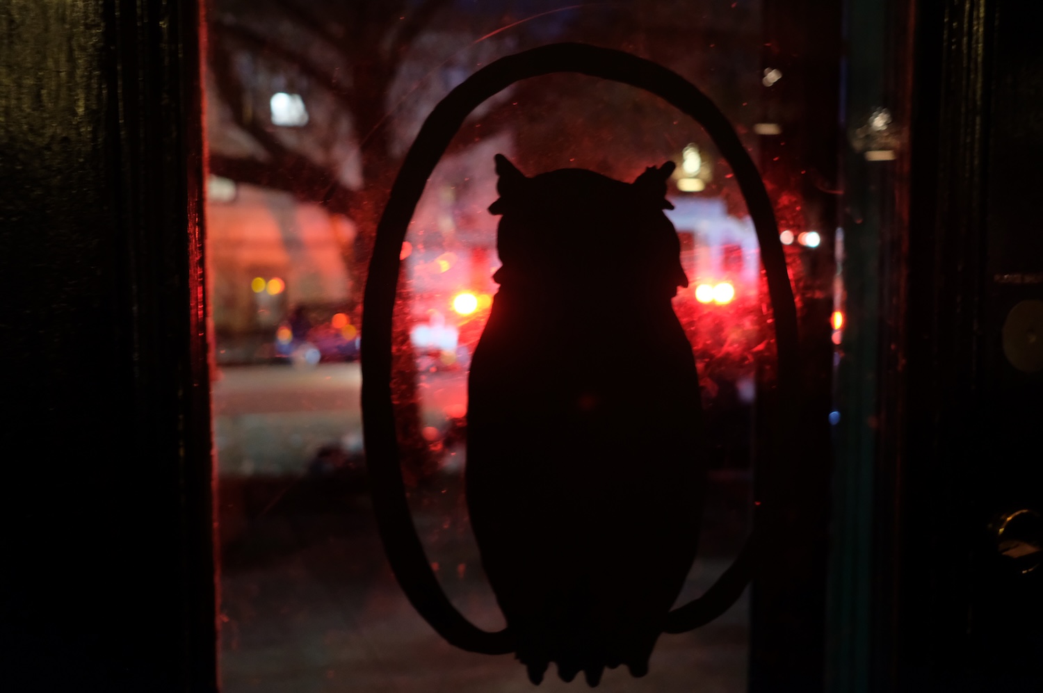 Last Call at The Owl
