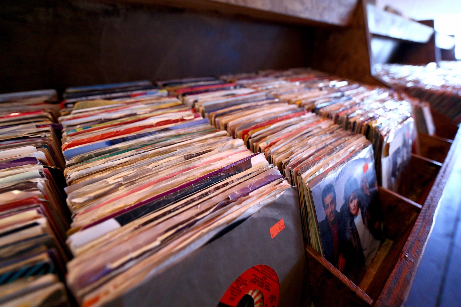 Weekend Guide: What to Do in Brooklyn This Weekend