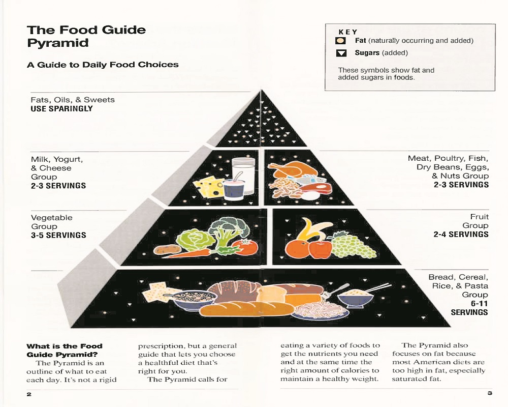 Stick with the Food Pyramid: The USDA's MyPlate Should Not Be Your Plate - Bottom Line, Inc.