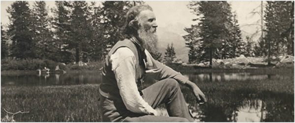 Tracking John Muir to the Monkey Puzzle Forests of Chile | Bruce Byers Consulting