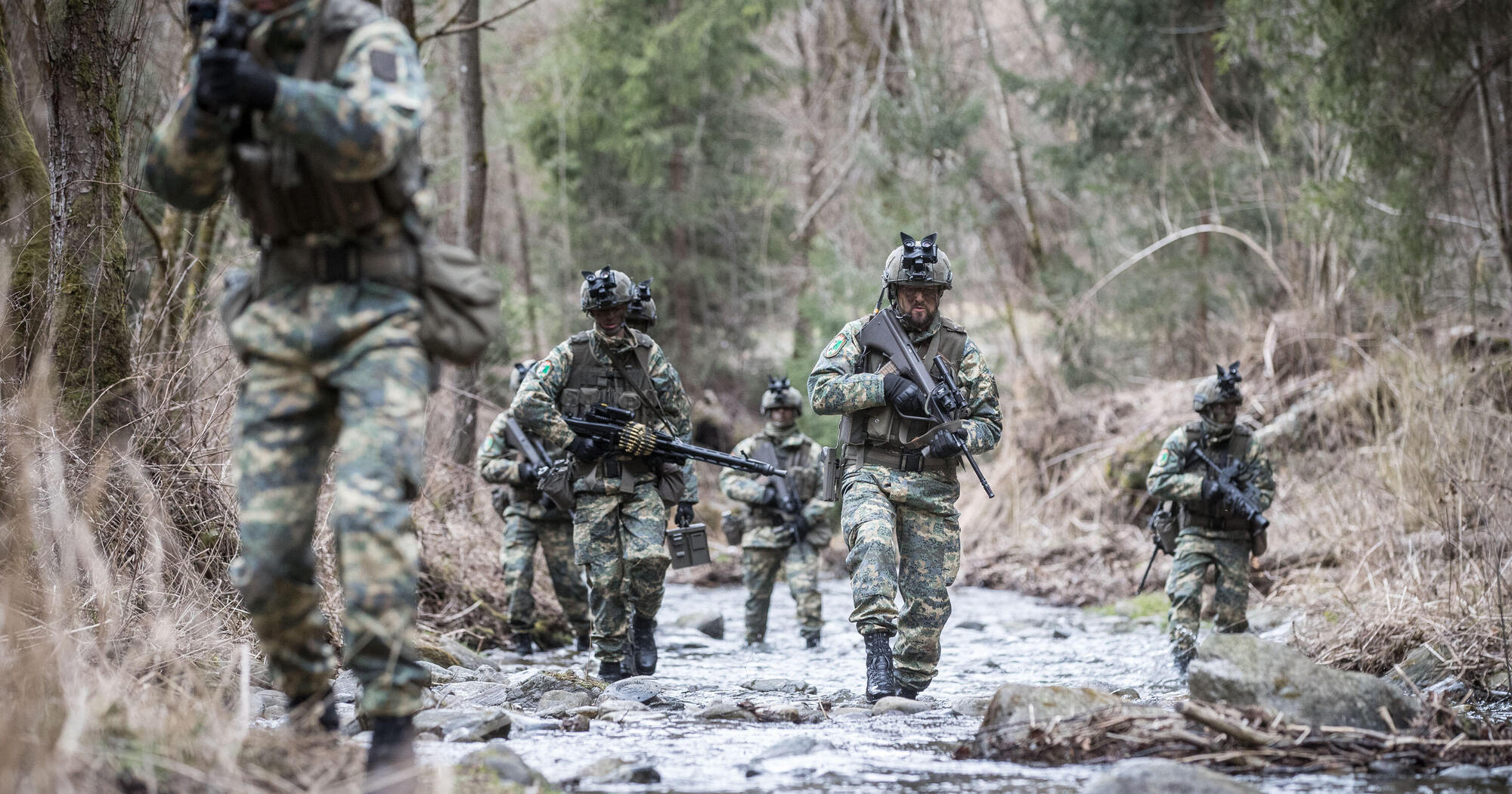 The Austrian Armed Forces