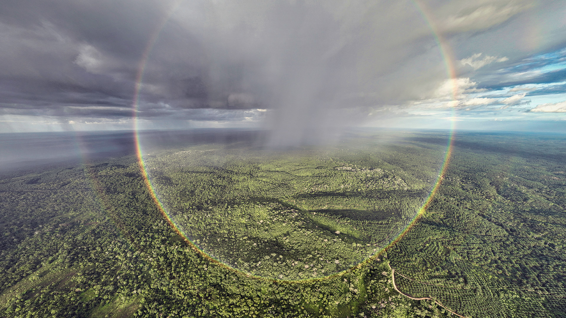 An overview of Mongabay's audience and the stories we produced in 2023