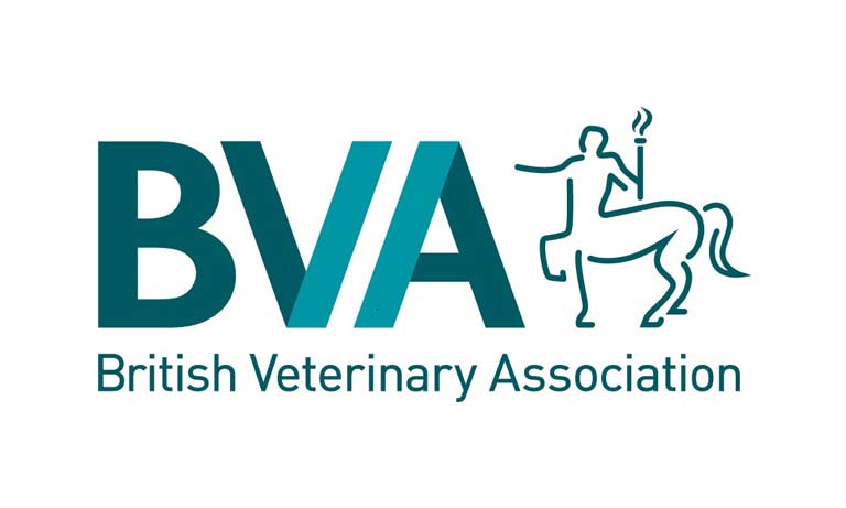 BVA - work for BVA