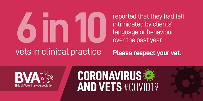 Vets report steep increase in levels of intimidation as owners vent frustrations during Covid-19