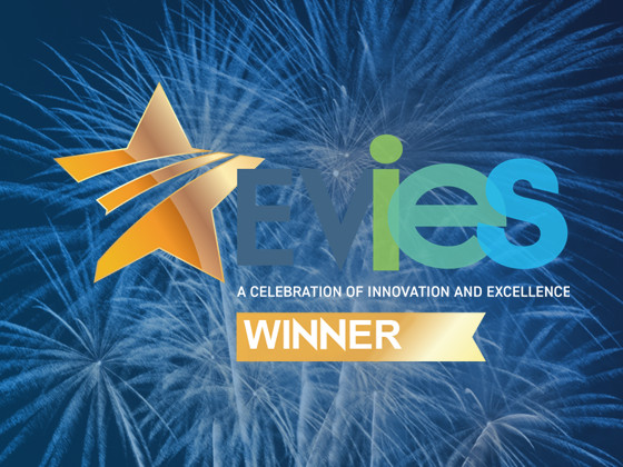 ViGiL wins EVIEs Award 2020 for Innovation in V2G Technologies