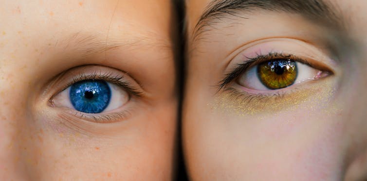 Por qué su color de ojos no coincide con el de sus padres - Cambio16