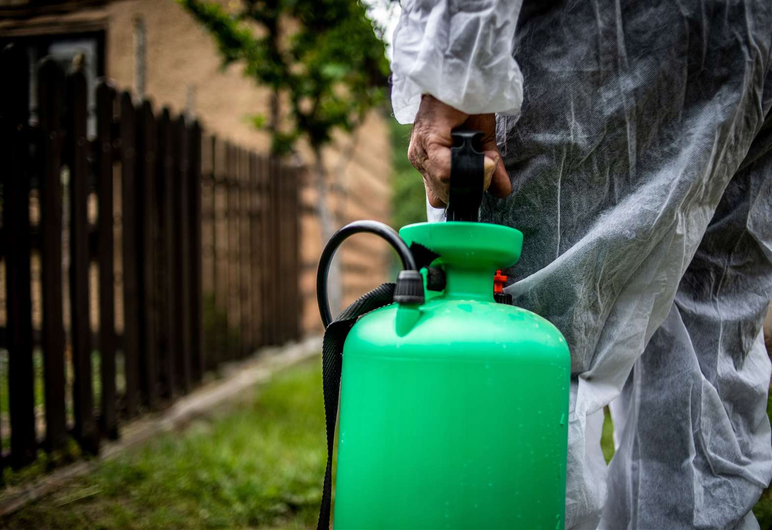 Controversial chemical glyphosate still being sprayed by councils in Cambridgeshire
