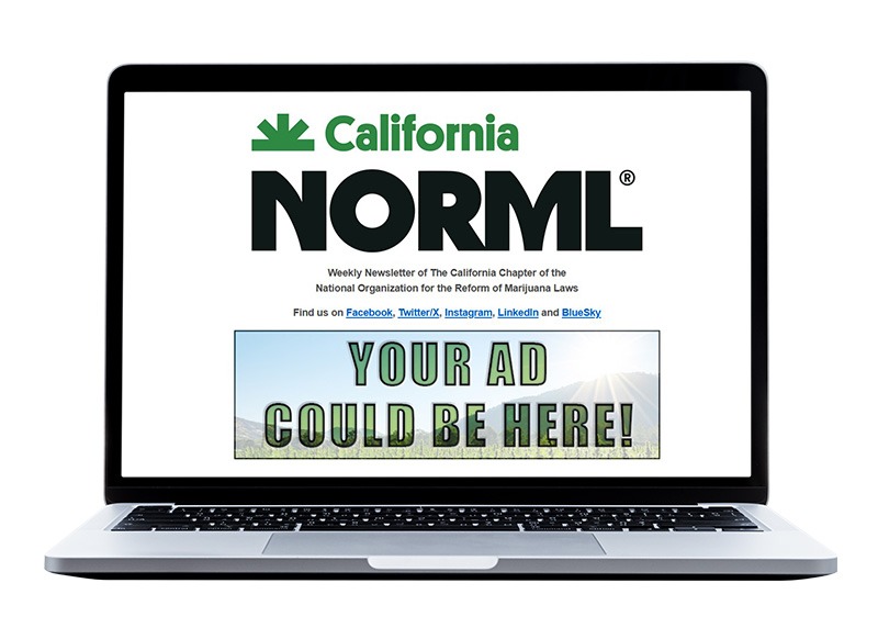 CaNORML media kit with advertising and business membership details