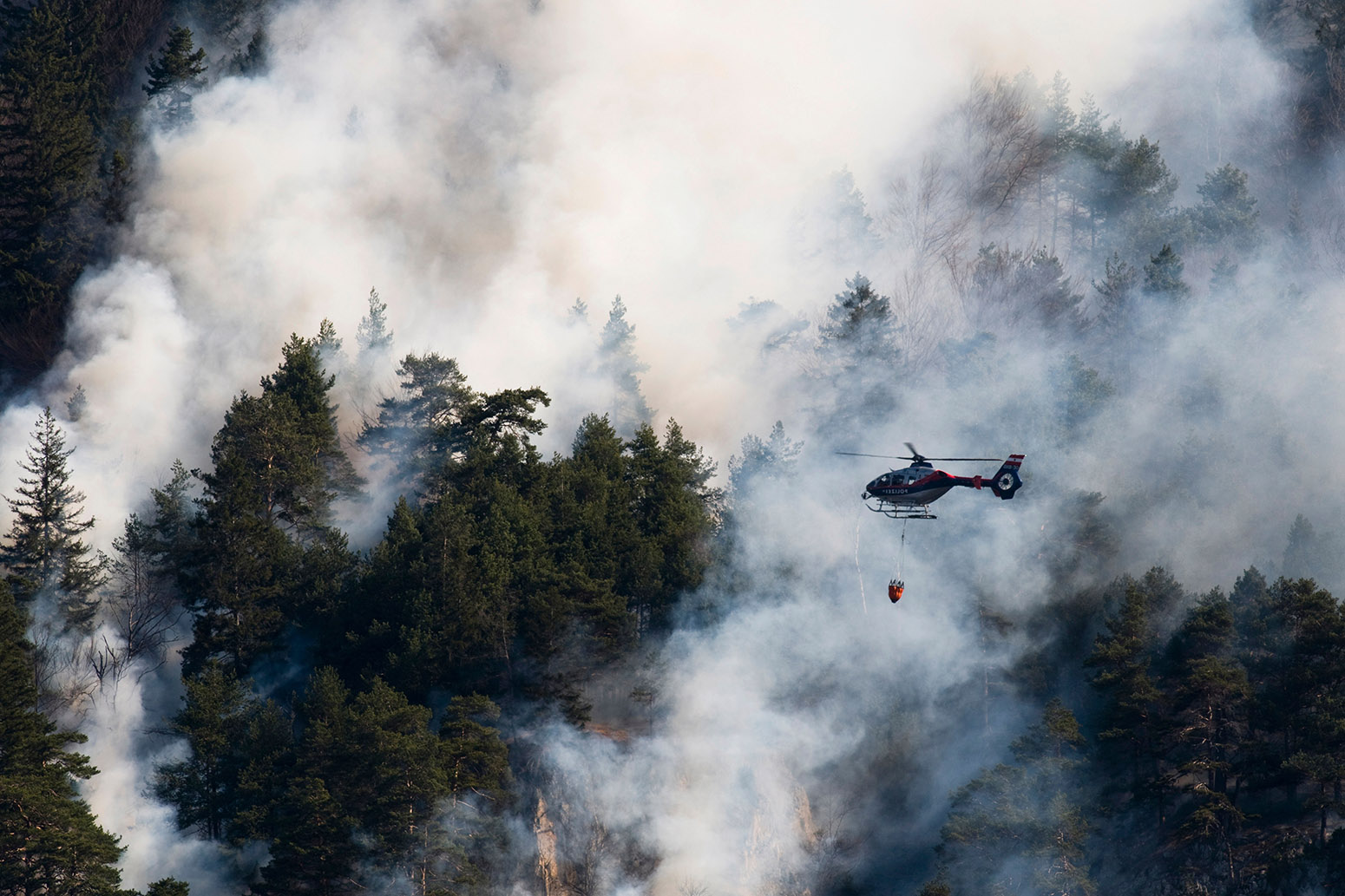 Interactive: The impacts of climate change at 1.5C, 2C and beyond | Carbon Brief