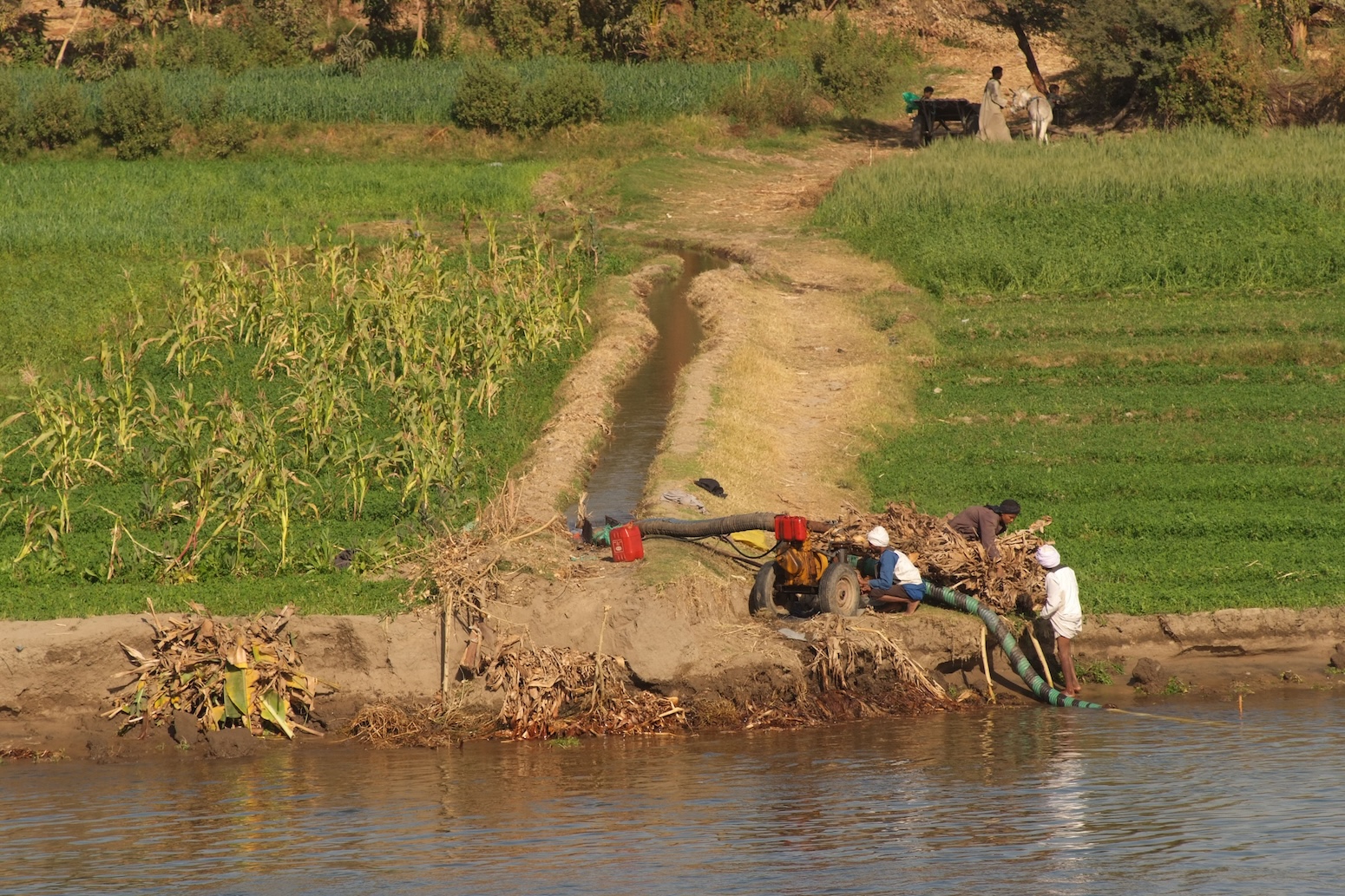Guest post: Climate adaptation becomes less effective as the world warms - Carbon Brief