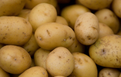 St. Patrick’s Day and the spud – Catholic Digest