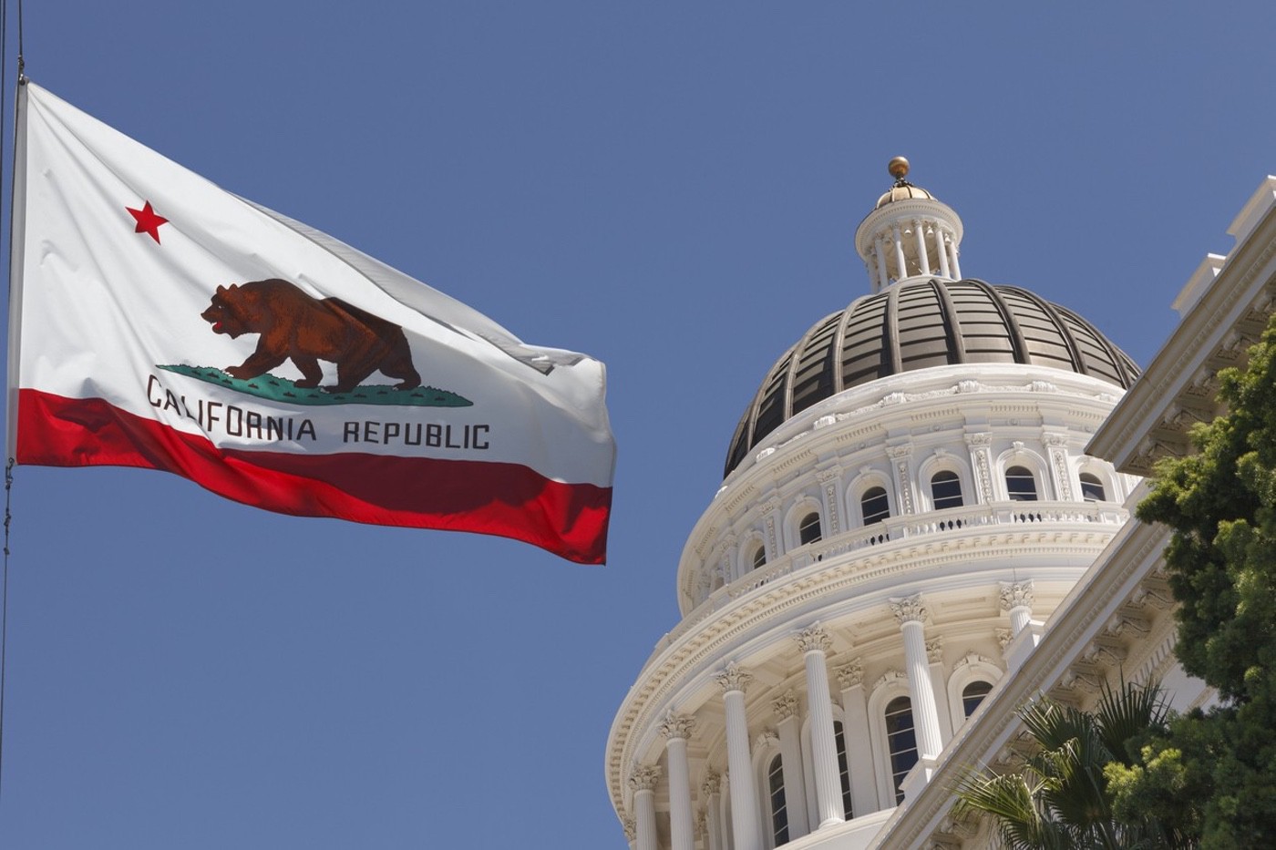 New Employment-Related Laws for 2022 CA Employers Need to Know¬† | CDF Labor Law LLP