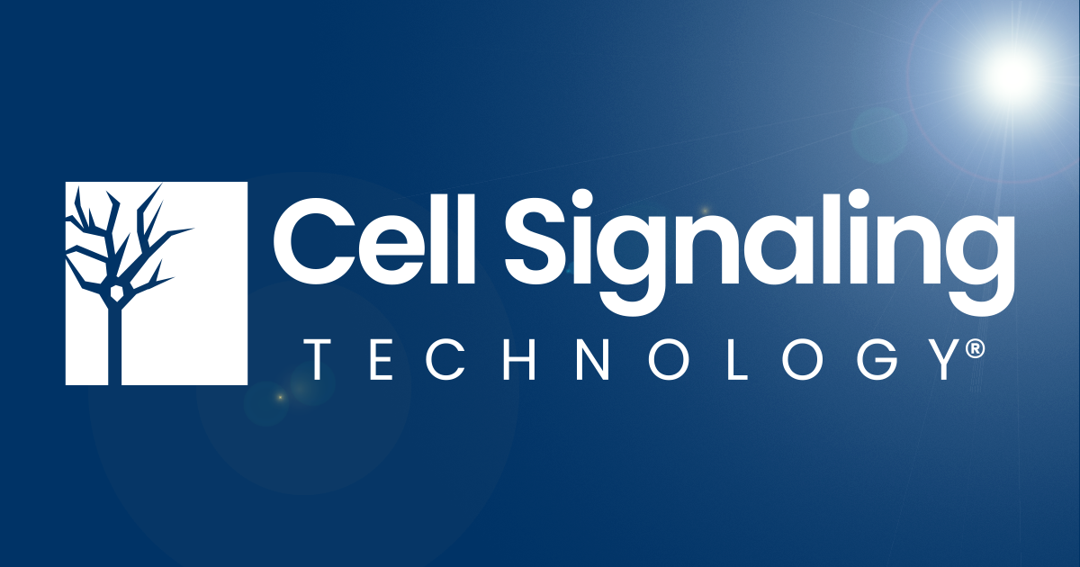 Human Immune Cell Marker Guide | Cell Signaling Technology