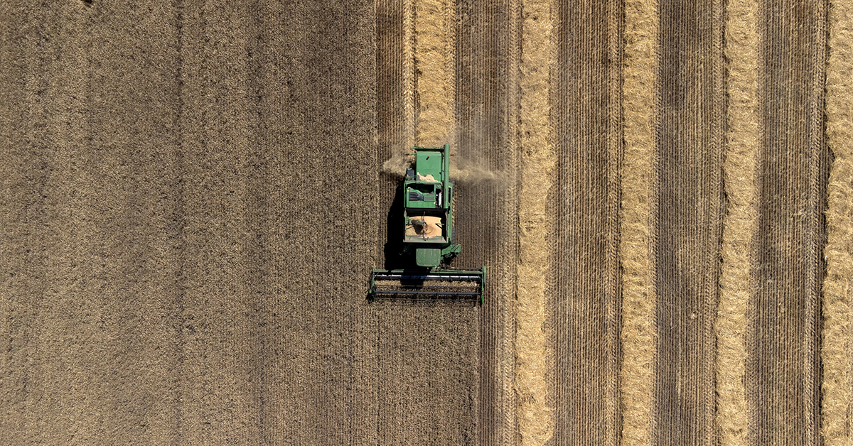 How Ukraine Overcame Russia’s Grain Blockade