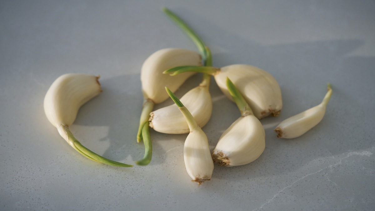 Warum getrockneter Knoblauch die frische Knolle in einem Punkt übertrifft - CHIP