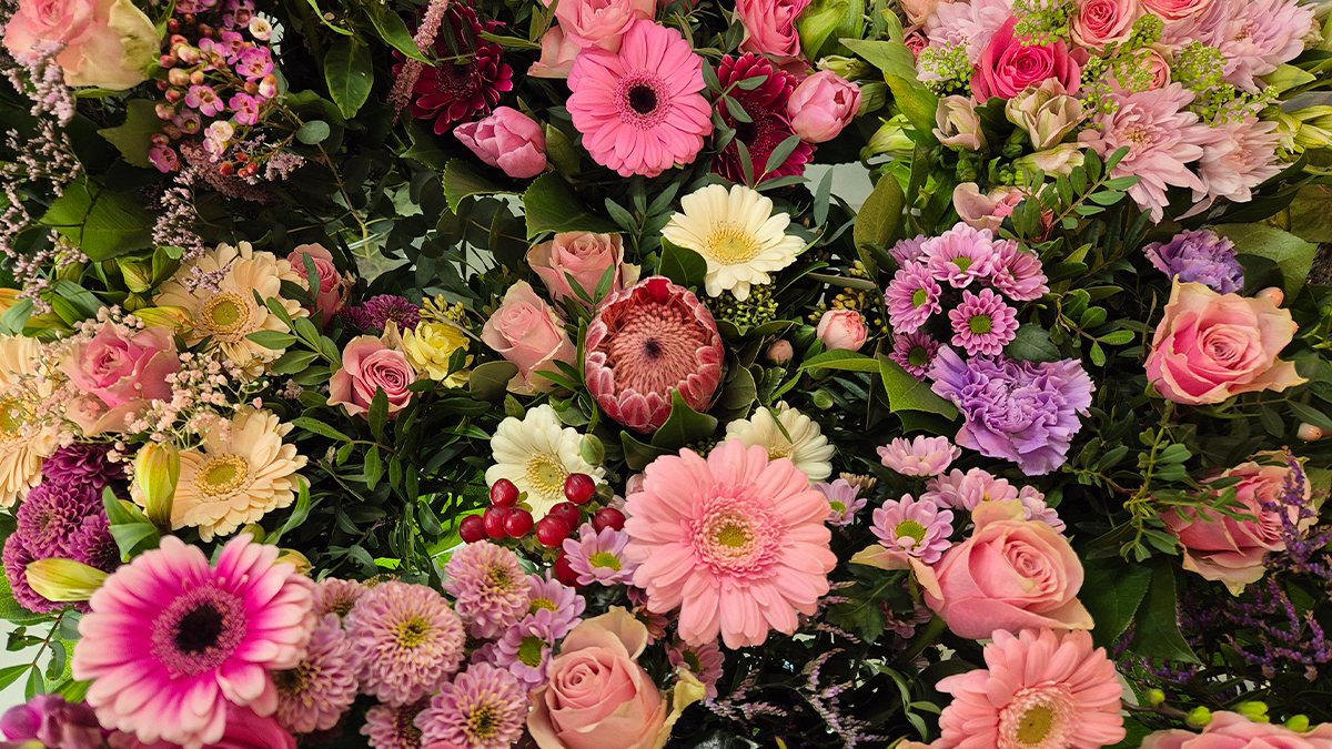 Blumenversand-Test 2026: Die besten Blumenlieferdienste | CHIP