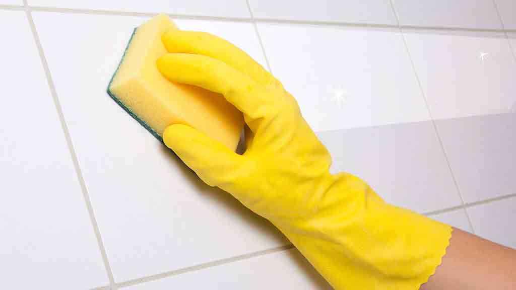 How to get rid of mould