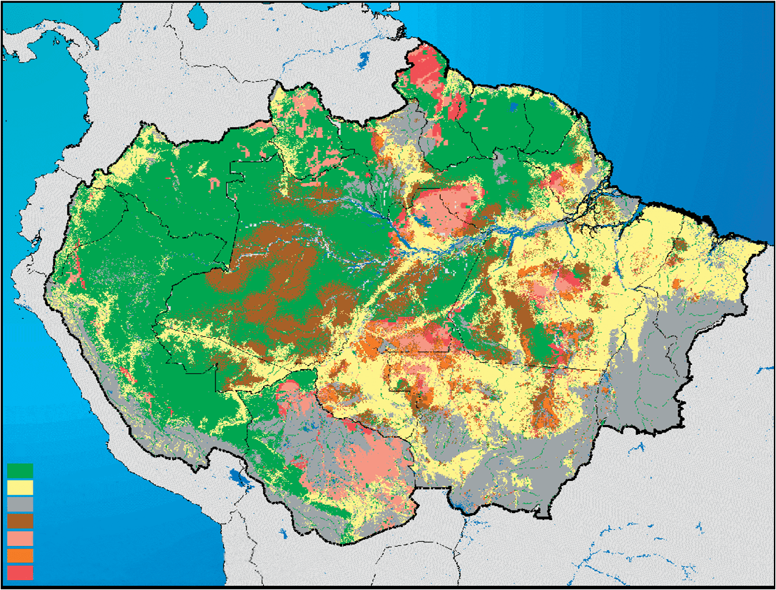 Great Rainforest or the Greatest Rainforest? - Center for International Environmental Law