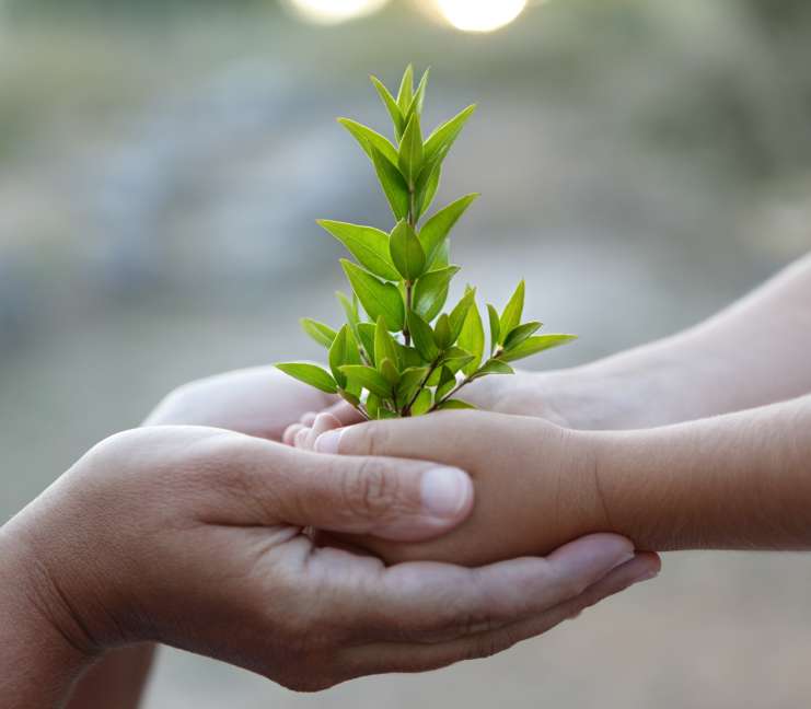 The Green Climate Fund: A Refresher - Center for International Environmental Law