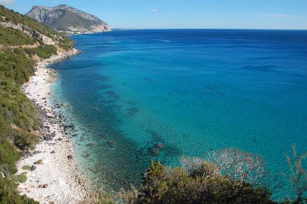 Tides of Justice: The Climate Advisory Opinions and Legal Duties to Make the Ocean Fossil-Free - Center for International Environmental Law