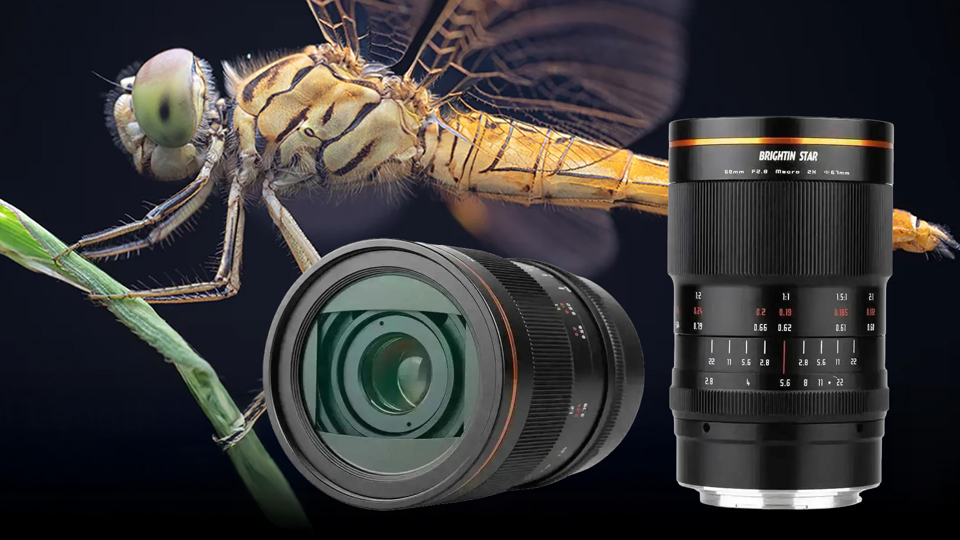Brightin Star 60mm f/2.8 II Macro Lens Announced | CineD