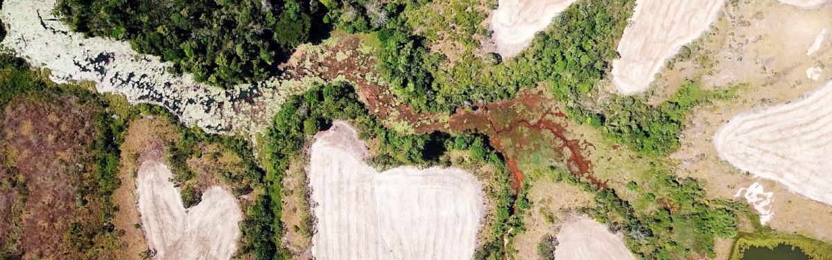 Les actualités du Cirad | Cirad