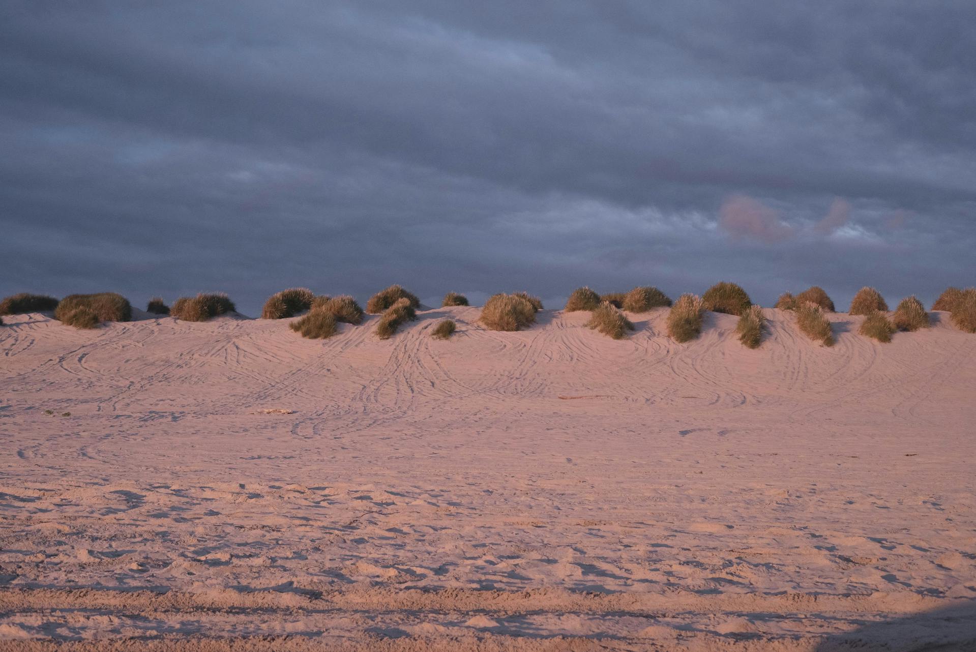 Policy ambition and feasibility scenarios pursuing climate goals - CMCC