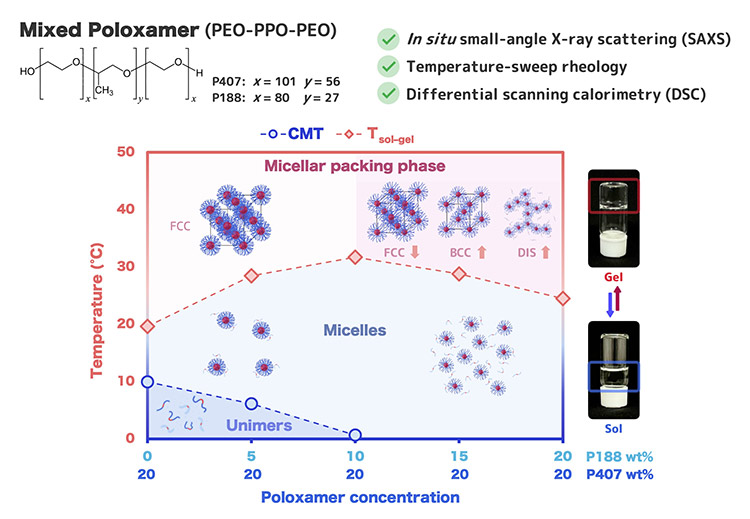 Understanding How Smart Polymer SolutionsTransition to Gels Around Body Temperature | CHIBADAI NEXT
