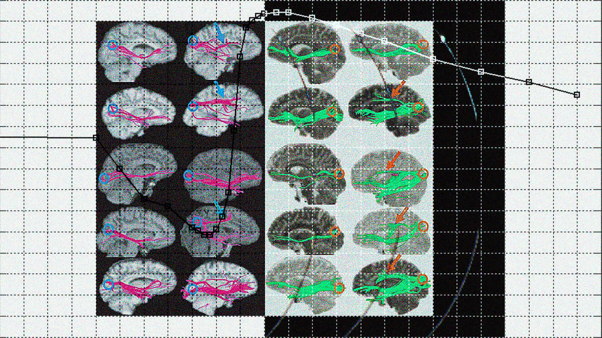 Researchers say their AI can detect sexuality. Critics say it’s dangerous - Coda Story
