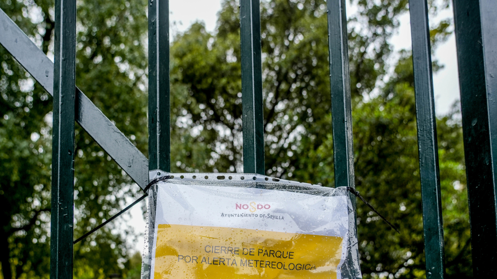 Sevilla ante el temporal: cierra parques, cementerio e instalaciones deportivas