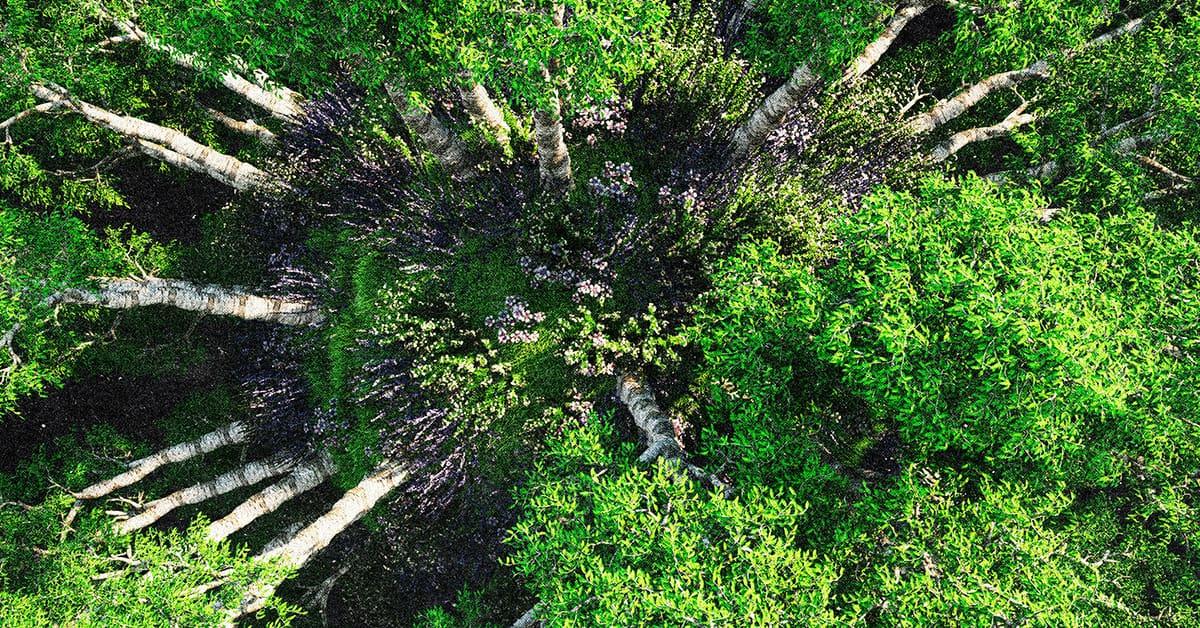 Sustainability Belongs Everywhere | Corporate Compliance Insights