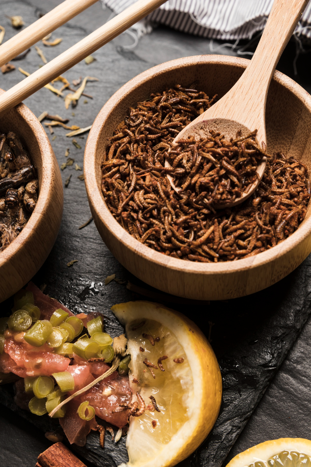 How can smarter insect nutrition transform our food system? - COST