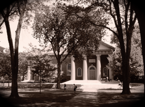 The Liberal Lockdown in Academia: the Case of Fawzia Afzal-Khan - CounterPunch.org