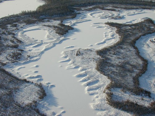 Tiny Bubbles From the Permafrost: An Interview with Ecologist Katey Walter Anthony - CounterPunch.org