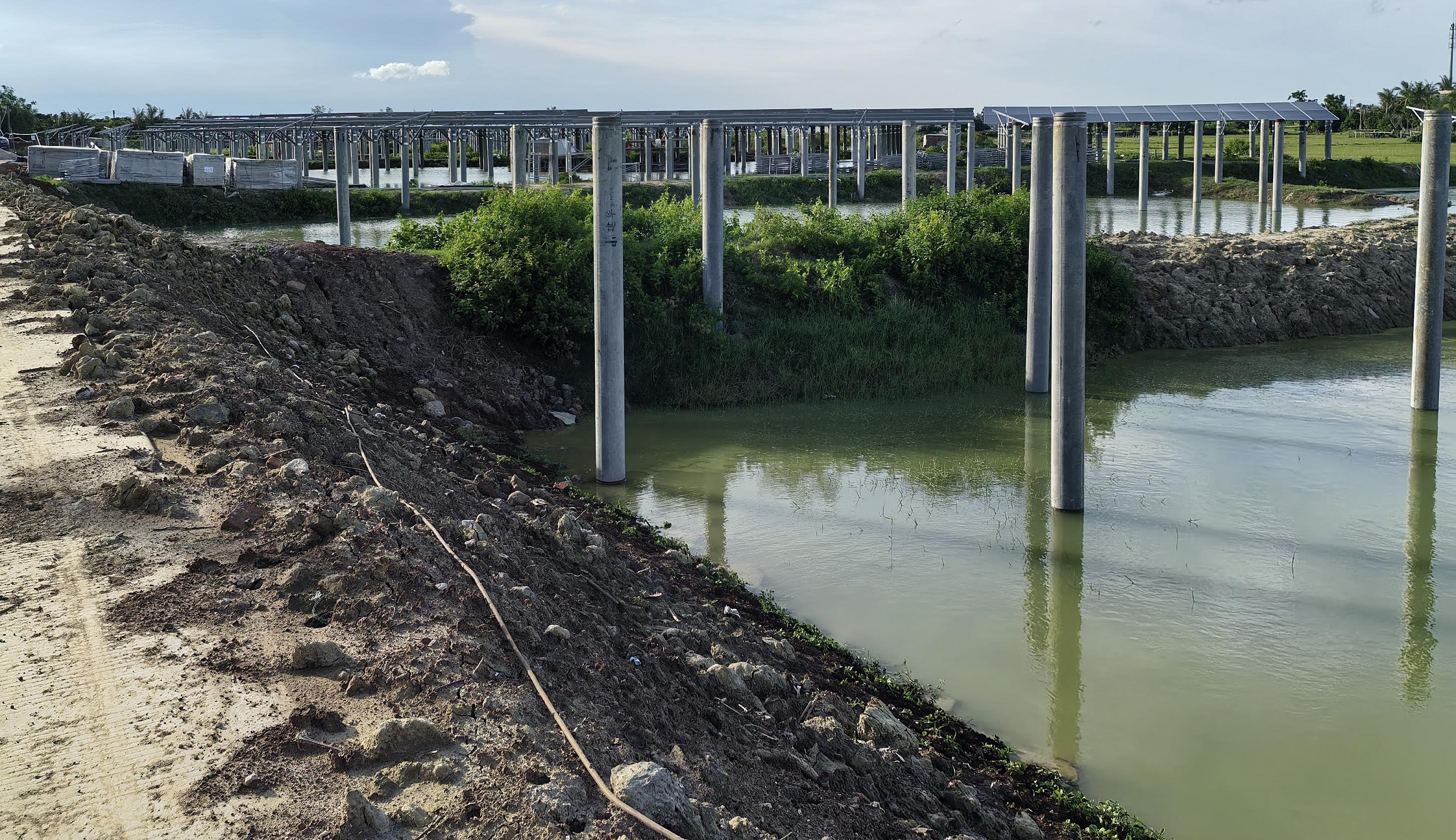 Nature Conservation in the Chinese Tropics - CounterPunch.org