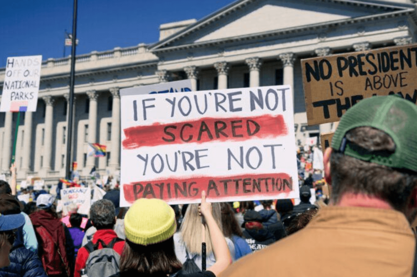 The Young Organizers Survival Corps - CounterPunch.org
