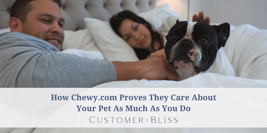 Always Available, Always Informed Service: How Chewy.com Proves They Care About Your Pet As Much As You Do - Customer Bliss