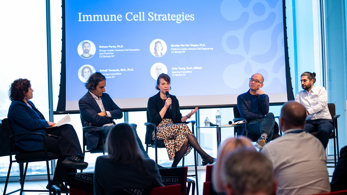A Deep Look at the Immune System - Biohub