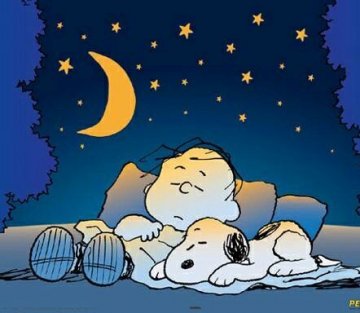 Sleeping Enough to Be Truly Awake | DailyGood